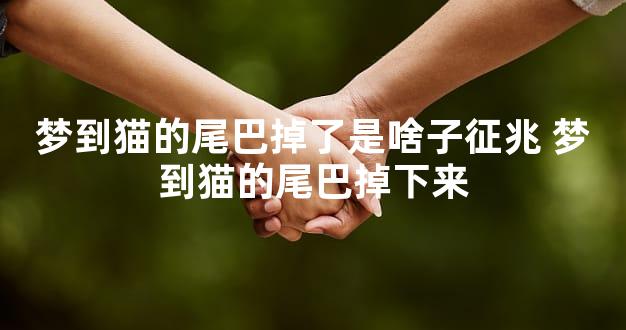 梦到猫的尾巴掉了是啥子征兆 梦到猫的尾巴掉下来